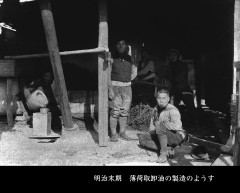 明治末期薄荷取卸油の製造の様子