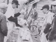 厳しい審査を受けるアスパラ