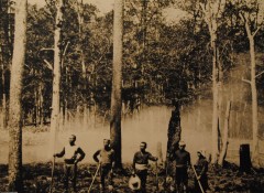 大正２年ごろの開拓の様子