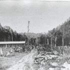 石川開拓線屏風岩付近