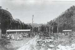 石川開拓線屏風岩付近