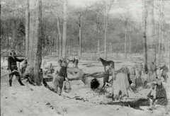 まるせっぷいこいの森付近 開墾伐採風景